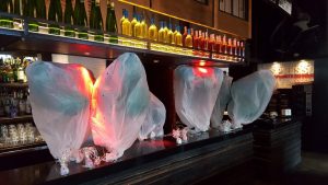 Helium Balloon Night Club Delivery