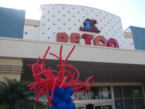 Petco Balloon display