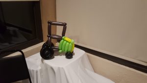 Small balloon tractor balloon